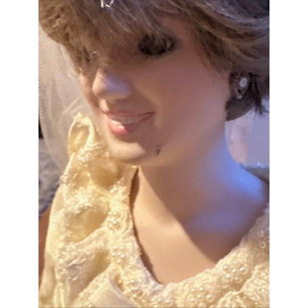 Princess Diana Porcelain Doll Wedding Gown Veil Collectible Display - Picture 4 of 6
